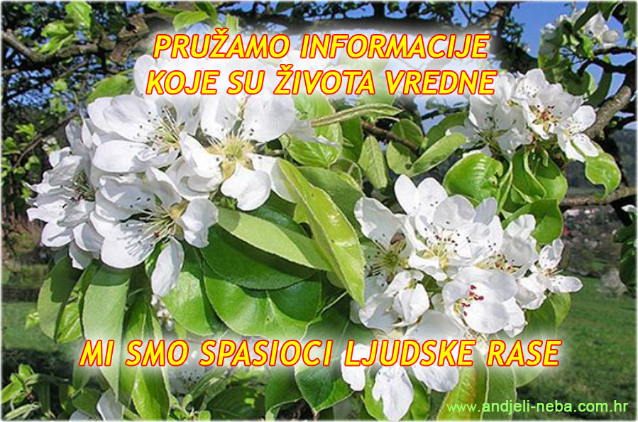 PRUAMO INFORMACIJE KOJE SU IVOTA VREDNE